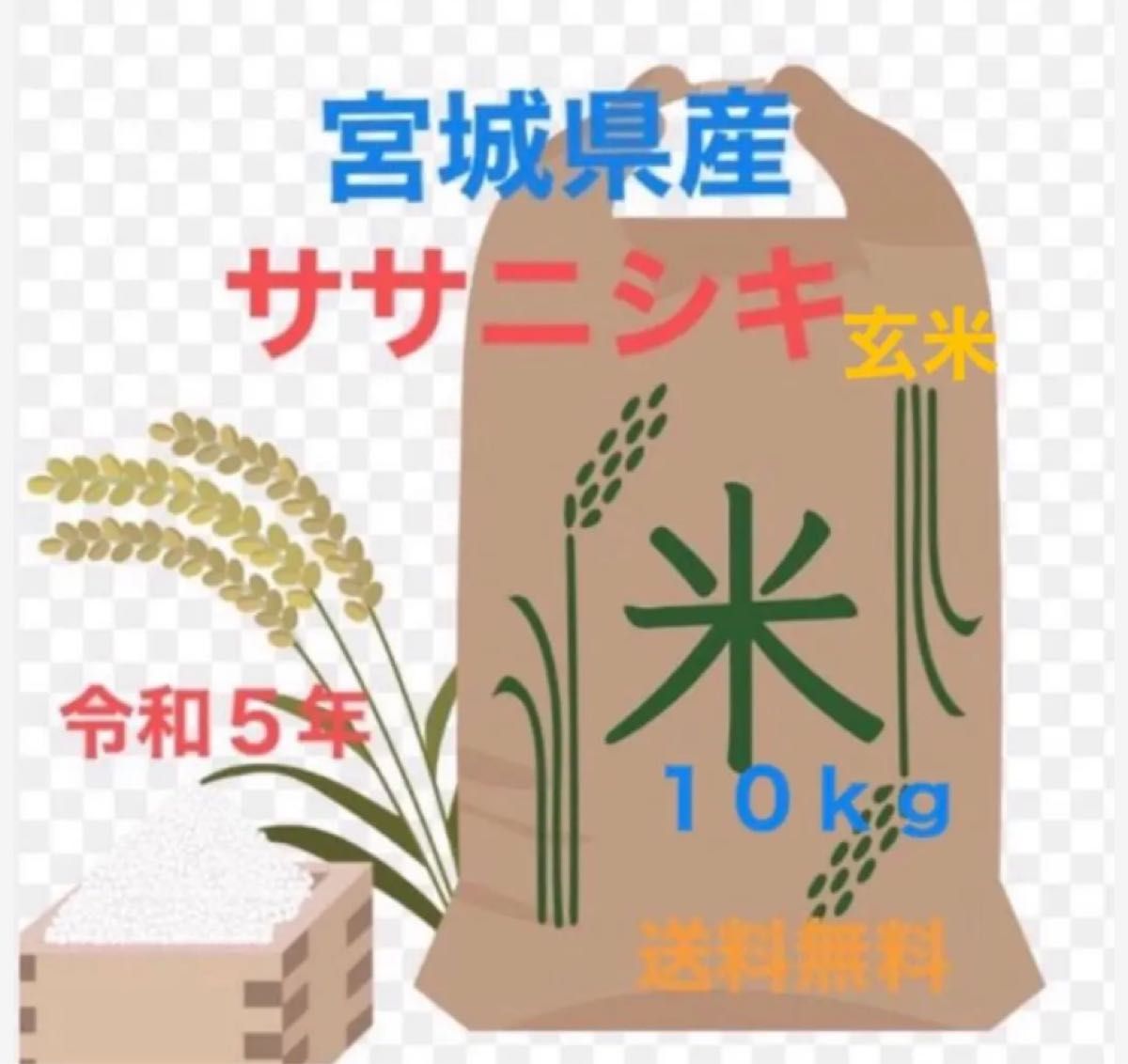 宮城県ササニシキ　令和５年１０ｋｇ玄米　送料無料