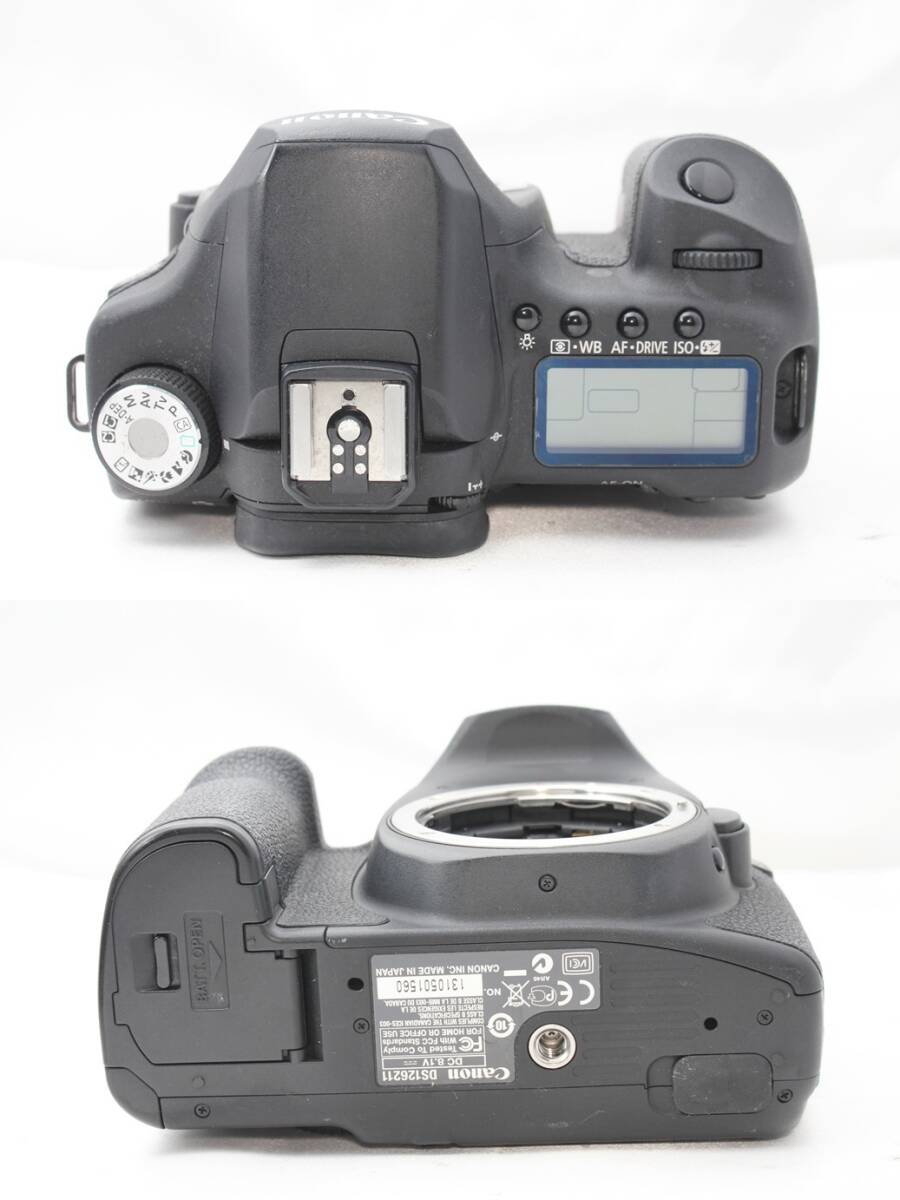 ★【限定！美品 バッテリー2本 Lexar CFカードつき スターティングセット】 Canon EOS 50D ★ EF-S17-85mm IS USM EF55-200mm II USMの画像6