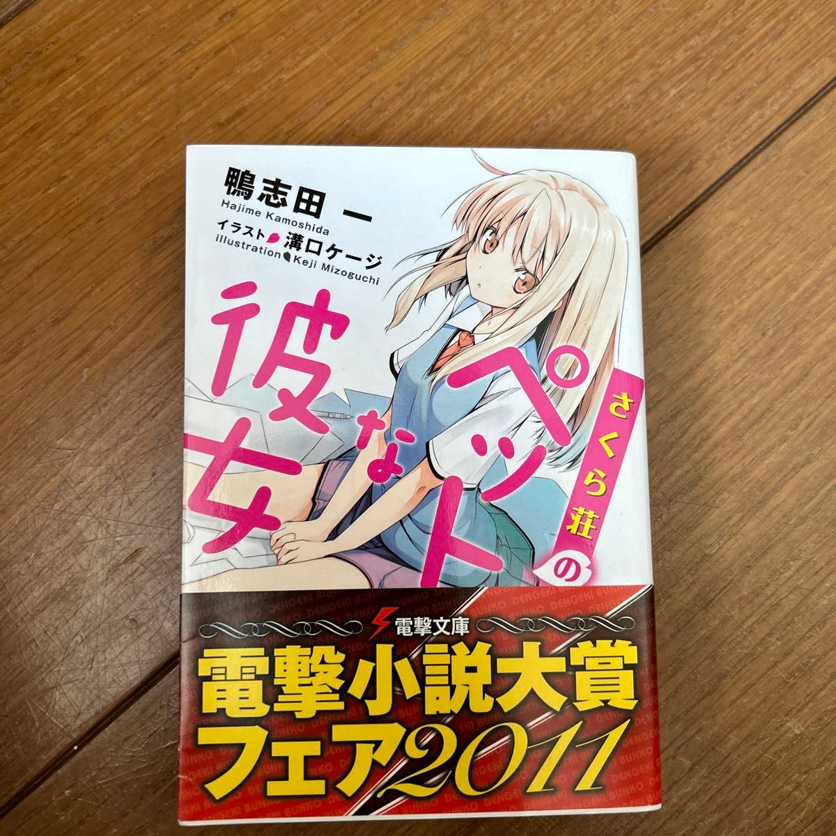 さくら荘のペットな彼女 （電撃文庫　１８８５） 鴨志田一／〔著〕