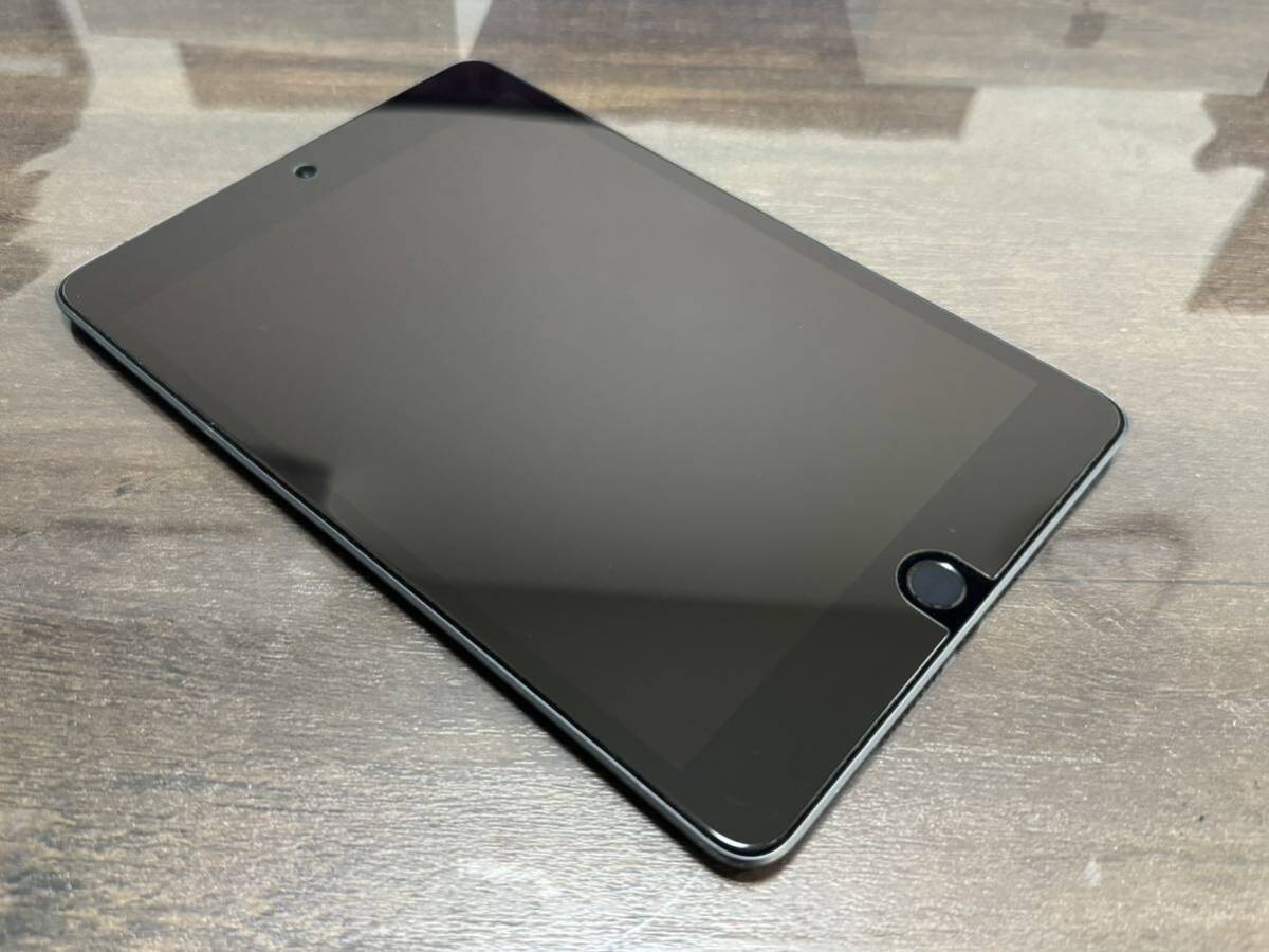 中古 Apple iPad mini 第5世代 256GB wifi Cellular スペースグレイの画像4