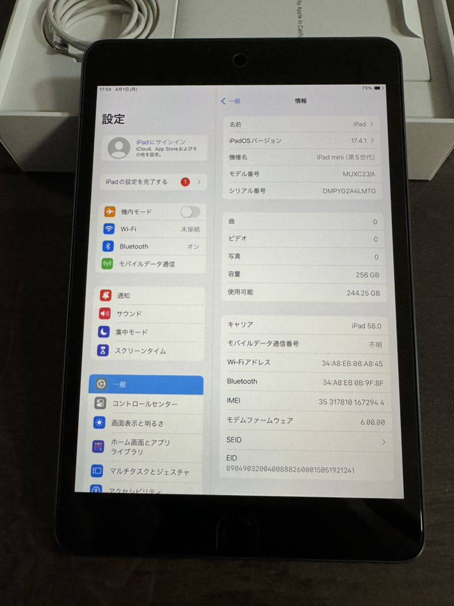 中古 Apple iPad mini 第5世代 256GB wifi Cellular スペースグレイの画像5
