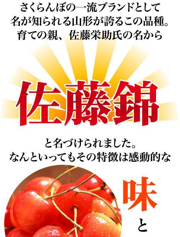 1個出品 ご予約 訳あり 色薄 山形県産 さくらんぼ 佐藤錦 サイズ 不定 1kg 産地直送 6月末から順次出荷 さんきん1円の画像2