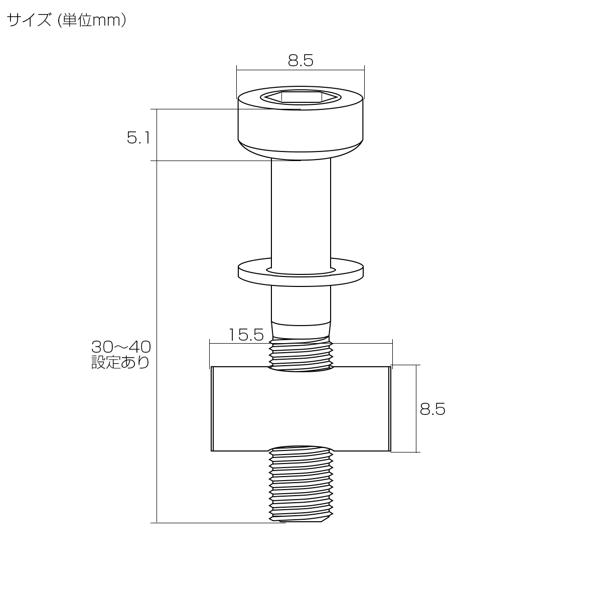 64チタン製 トムソン シートポスト用 固定ボルト M5 40mm シルバー 2個セット JA476の画像3