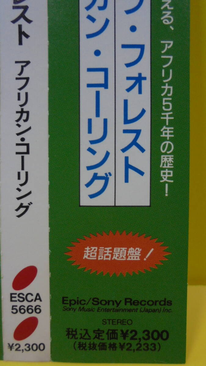 CD★ディープ・フォレスト「アフリカン・コーリング」★Deep Forest★見本盤★同梱可能の画像3