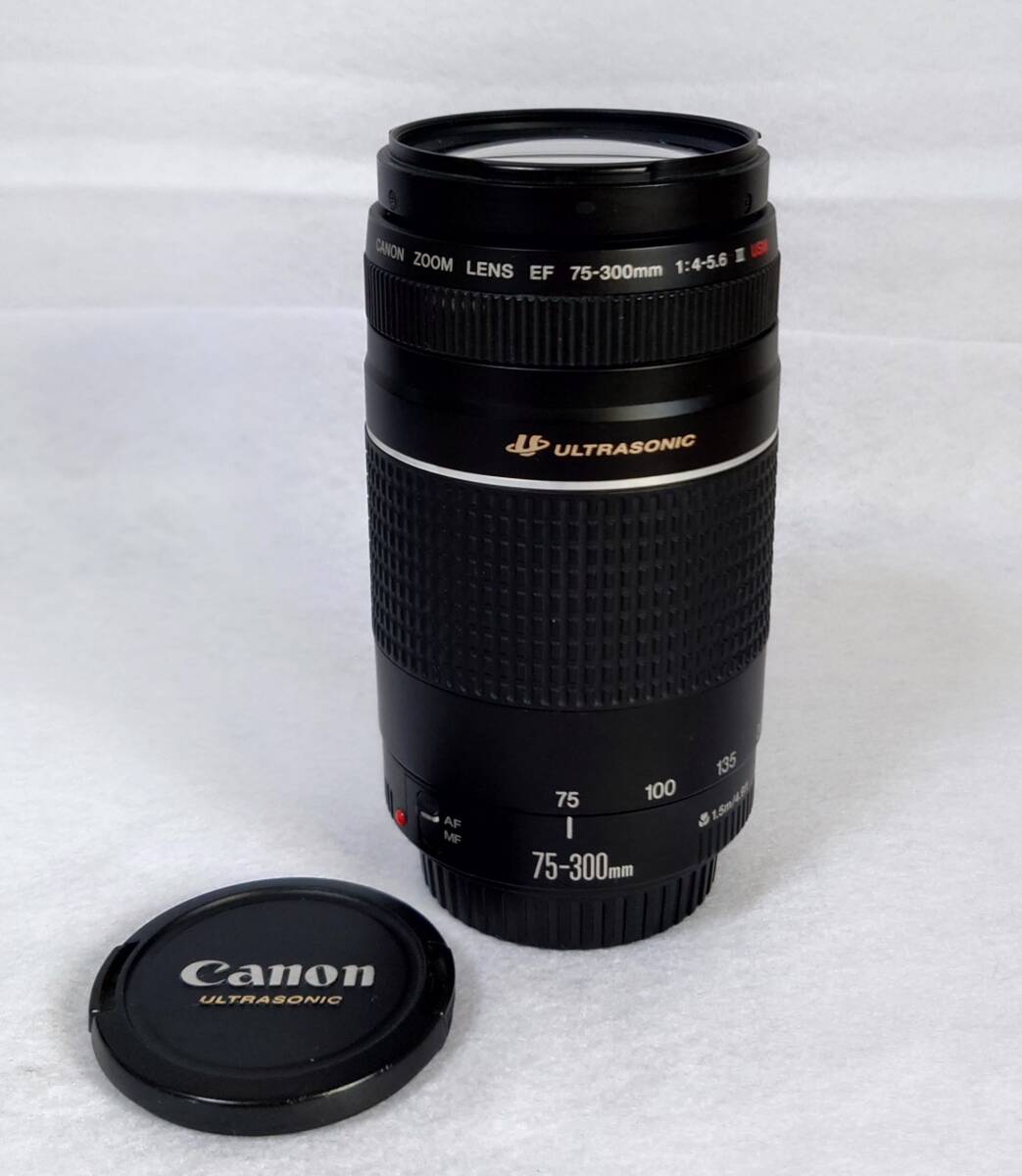 Canon ULTRASONIC 中～超望遠レンズ EF75-300mm F4-5.6 III USMの画像1