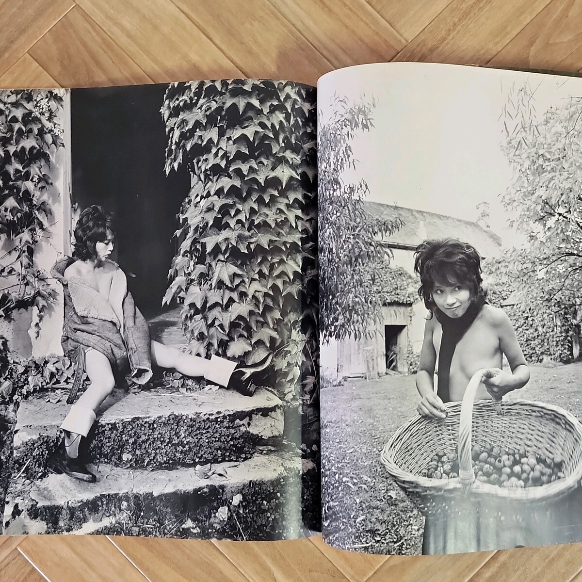 加賀まりこ 写真集 私生活 PRIVATE 立木義浩 毎日新聞社 1971年 プライベート 女優 女性 タレント 俳優 昭和 レトロ 240457の画像8