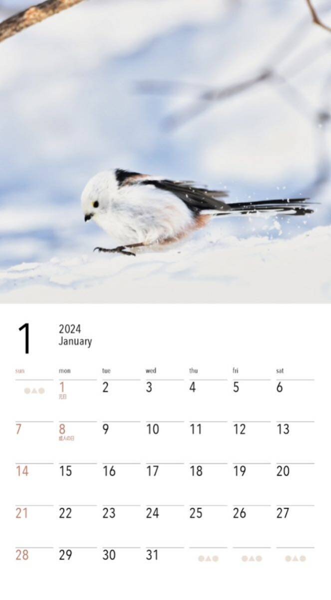 白い妖精シマエナガカレンダー（2024） （［カレンダー］）新品・未開封の画像6