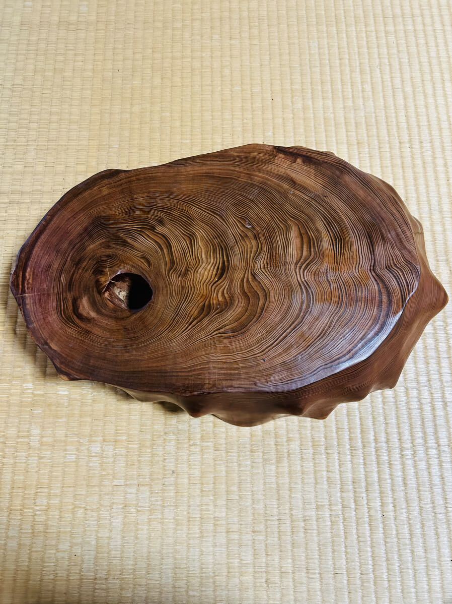 屋久杉 花台 飾り台 5.7kg 長さ50cm 厚さ 10cm_画像6