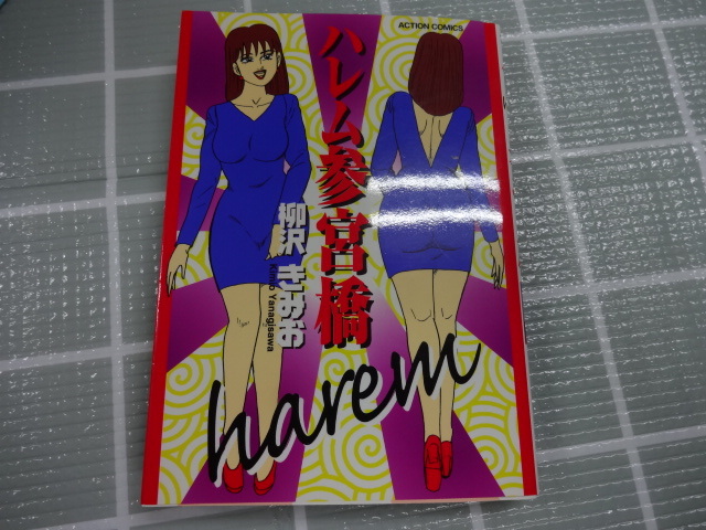 ハレム参宮橋　コミック　柳沢きみお　ジャンク　レア　特命係長只野仁　大市民　翔んだカップル_画像1