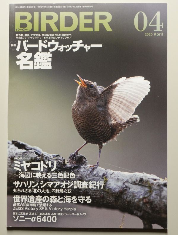 BIRDER 2020年4月号 バーダー　/　文一総合出版　/　野鳥撮影　探鳥　バードウォッチング　バードウォッチャー_画像1