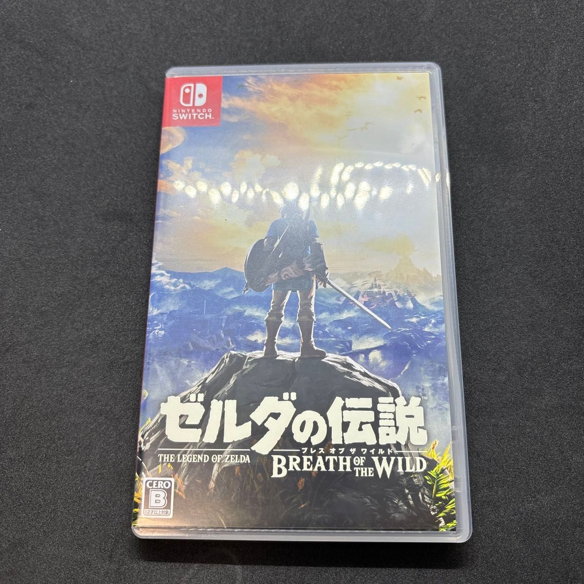 ゼルダの伝説 ブレスオブザワイルド Switch