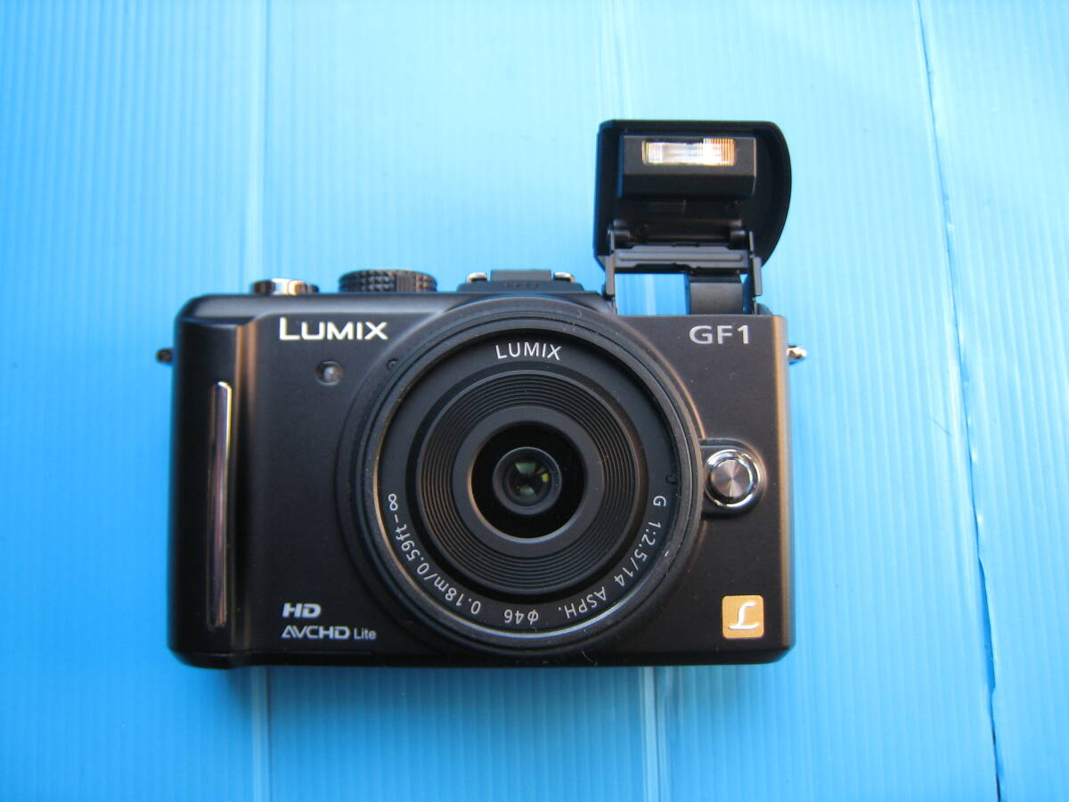 Panasonic Lumix DMC-GF1+14㎜/F2.5ASPHの画像6