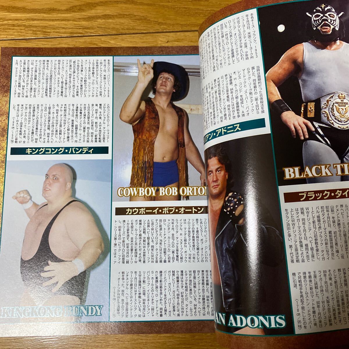 週刊ゴング7月26日増刊 平成14年 新日本プロレス 来日外国人選手 PERFECTカタログの画像8