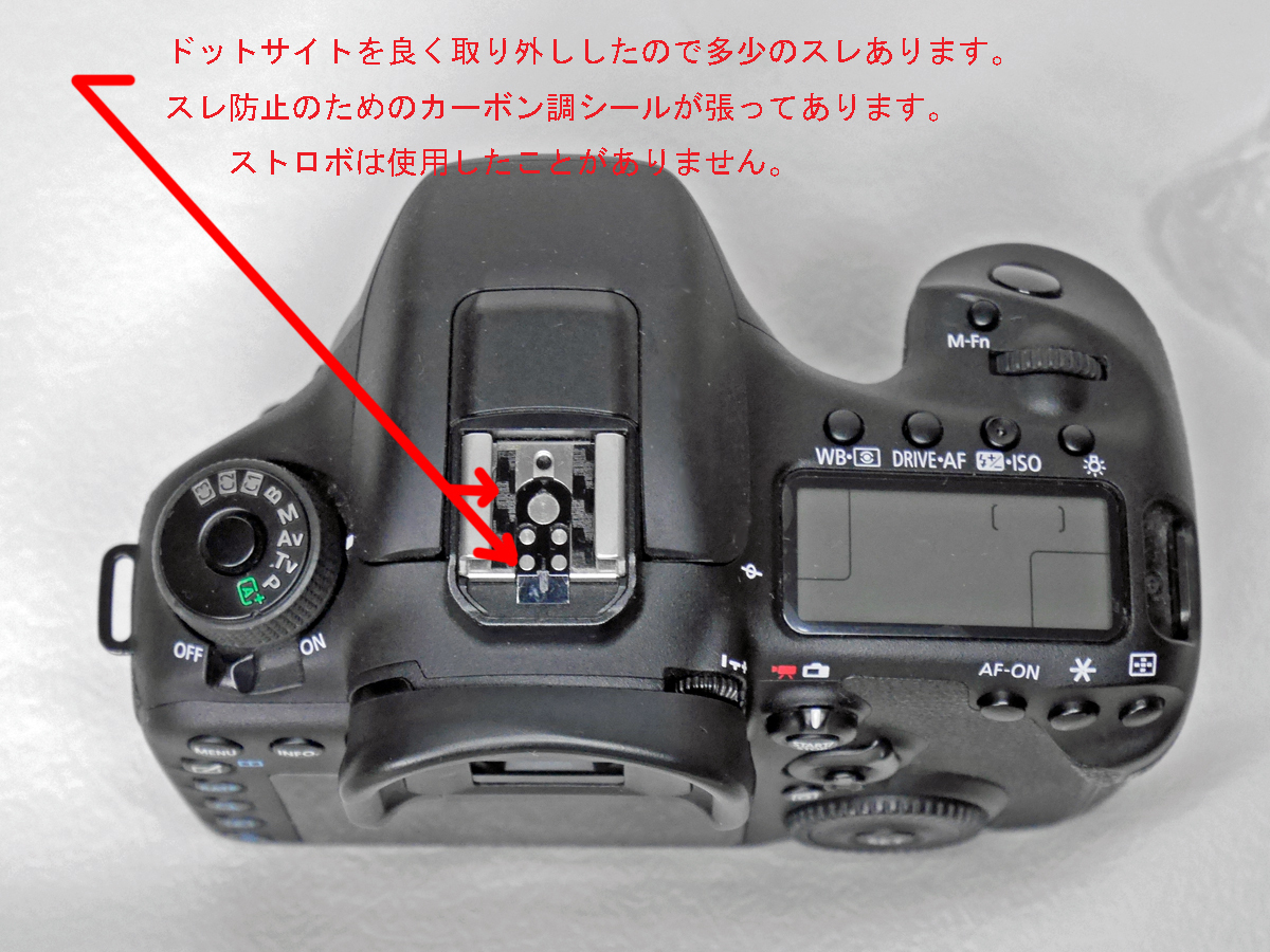 Canon EOS 7D MarkⅡ_画像7