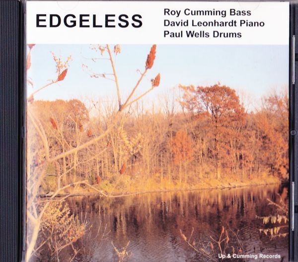 CD　★Roy Cumming Edgeless　輸入盤　(Cummings Records MRB-5377)_画像1