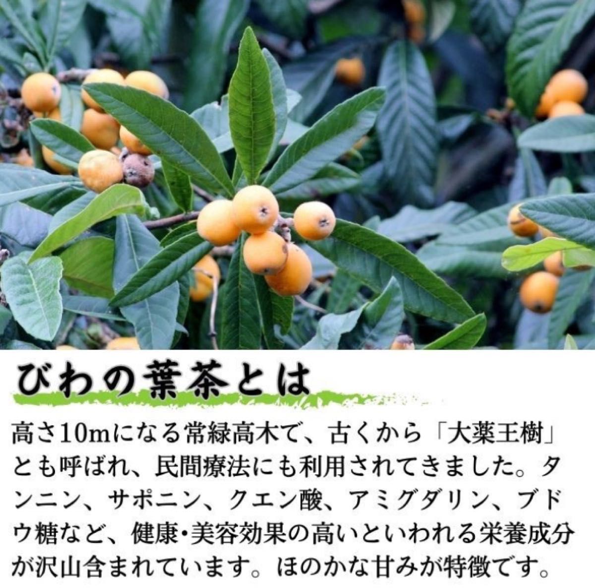 【松葉茶&枇杷の葉茶】200g 野草茶 健康茶 枇杷酒 松葉酒 国産 無農薬 無添加 入浴剤 化粧水 枇杷エキス お茶 クーポン