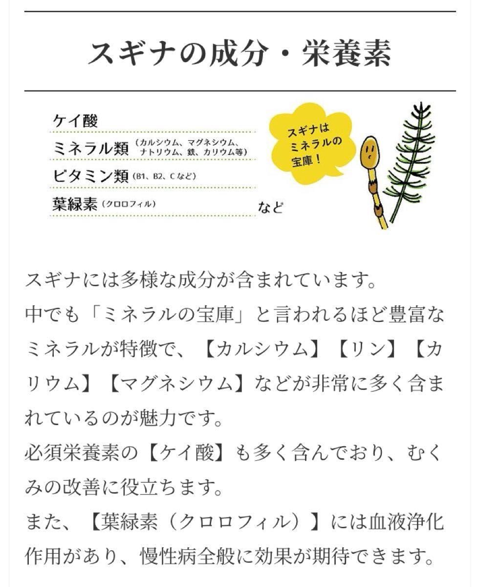 【ミネラルの宝庫！】2g×30P スギナ茶 スギナ 野草茶 健康茶 漢方 お茶 オメガ3脂肪酸 薬草 ビタミン クーポン利用 