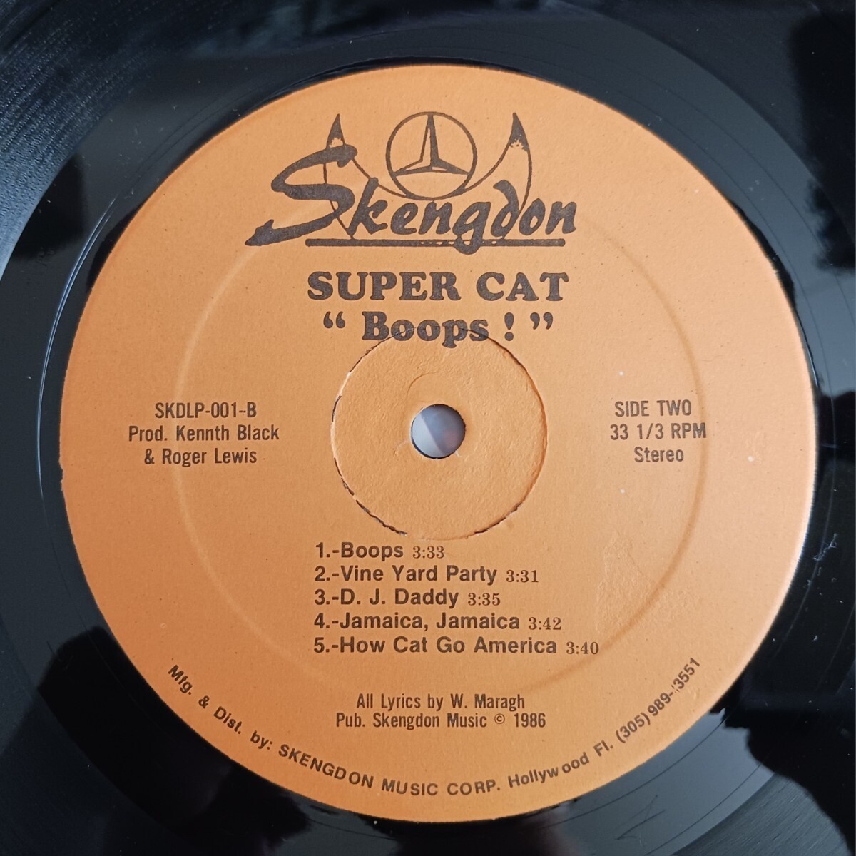 SUPER CAT『BOOPS!』US盤輸入LPレコード / SKENGDON / SKD-LP-001の画像6