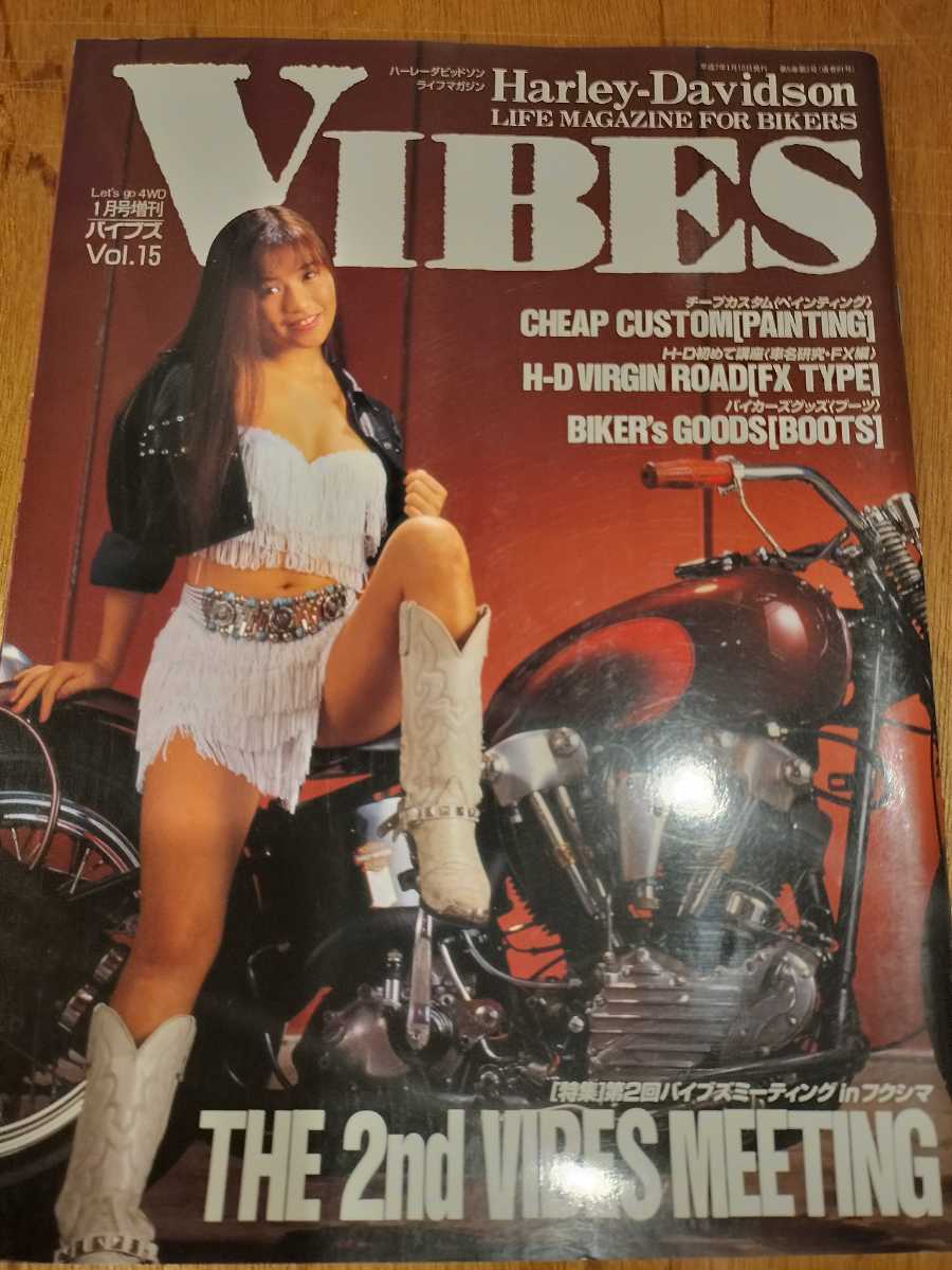 VIBES　バイブズ 　1995年 1月 vol.15 　水野さやか_画像1