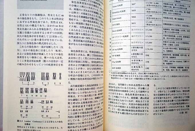 63814/育児の事典 平山宗宏 川井尚 中村敬 編集 函入り 2005年 朝倉書店 妊娠の成立から出産まで 子どもの成長・発達 子どもと食事_画像4