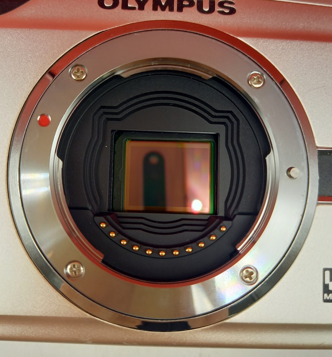 ■ OLYMPUS PEN E-PL2 ボディ M.ZUIKO DIGITAL 14-42/3.5-5.6 レンズ 動作確認済 現状品 付属品 ミラーレス一眼カメラ オリンパス_画像7