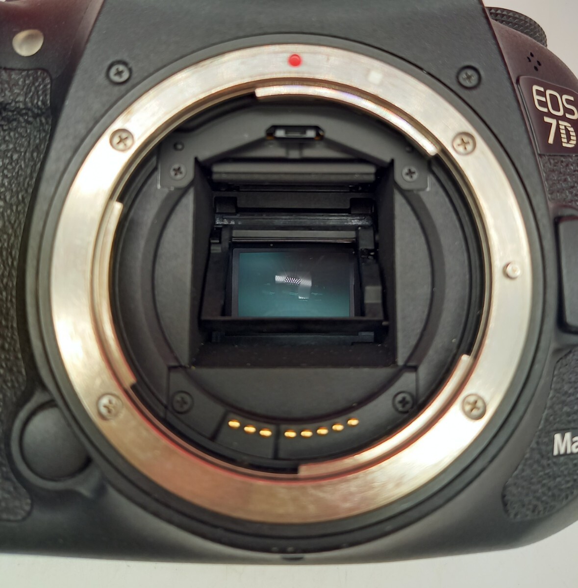 ■ Canon EOS 7D Mark II デジタル一眼レフカメラ ボディ 動作確認済 シャッター、フラッシュOK BATTERY GRIP BG-E16 バッテリー キャノンの画像7