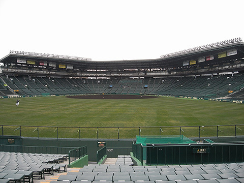 通路近 1枚 5月6日（祝）レフト 外野指定席 下段 阪神タイガース vs 広島 甲子園 5/6 1席 お一人 年間予約席 入場者プレゼント 選手お面の画像7