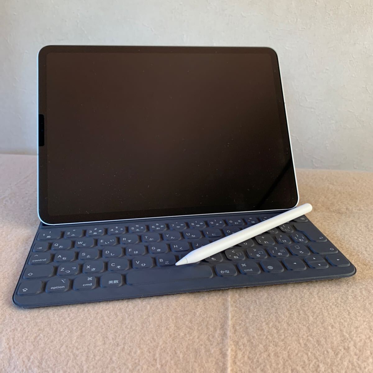 iPad Pro 11インチ Wi-Fi+Cellular 256GB MU172J/A 、Apple Pencil、Smart Keyboard Fplio 3点セット
