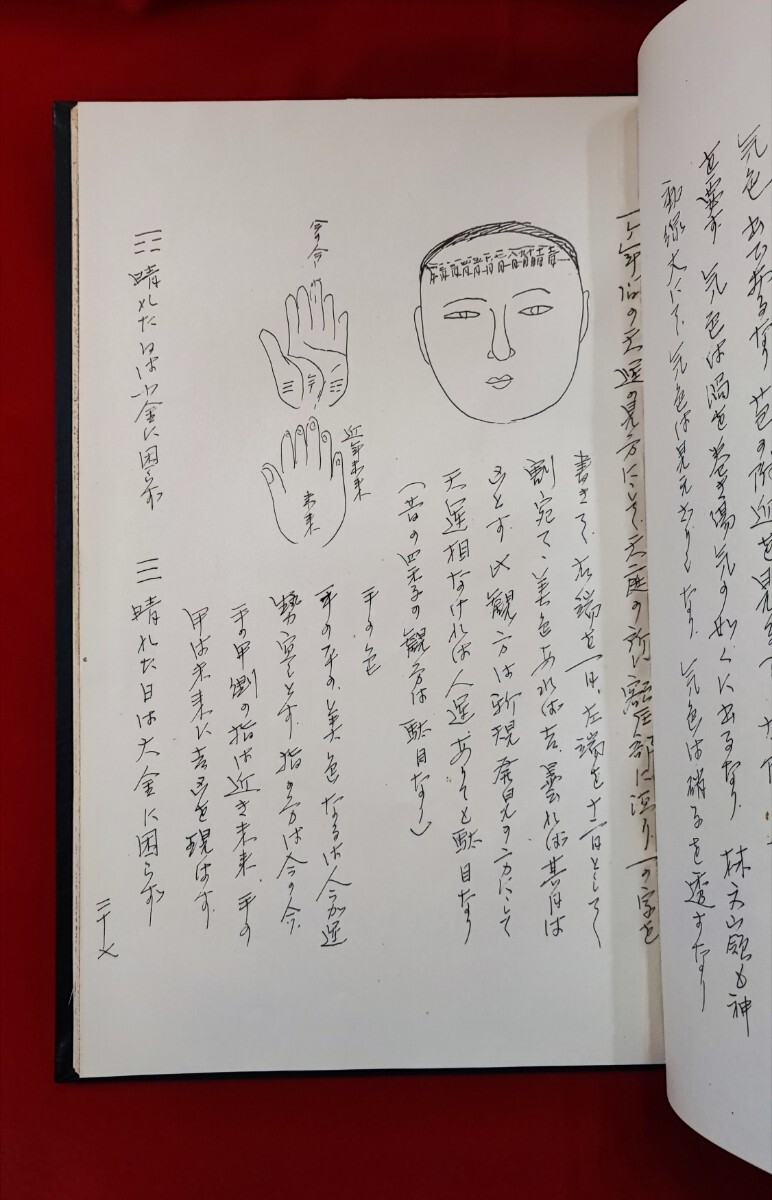 人相鑑定秘法 相法、気血色 手書き 作者不明_画像8