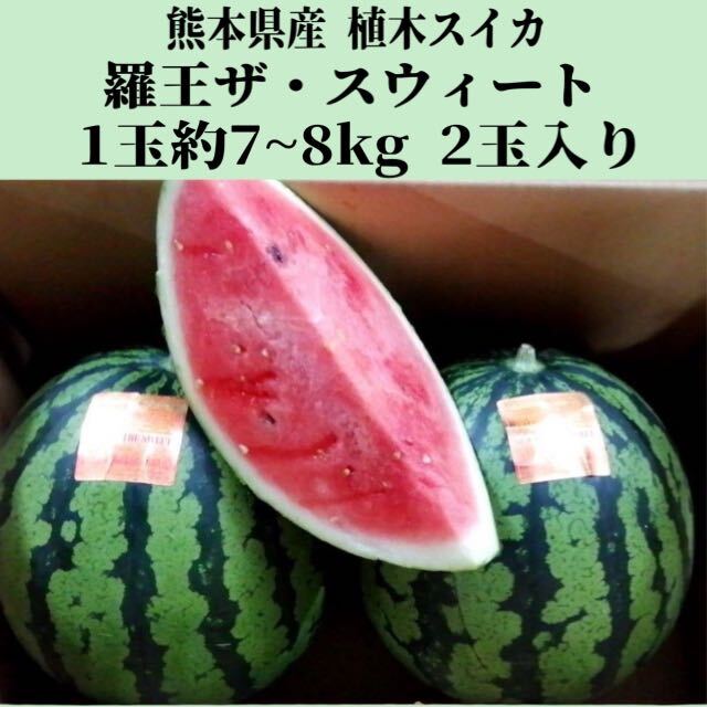 【送料無料◎1スタ!】熊本県産 植木スイカ 羅皇ザ・スウィート 1玉約7~8kg 2玉入り 家庭用_画像1