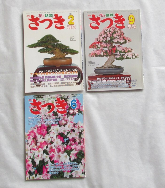 19冊 月刊さつき研究 1978年 1990年 1991年 1992年 1994年 2003年 2004年 2012年 2013年 月刊さつき研究社_画像5