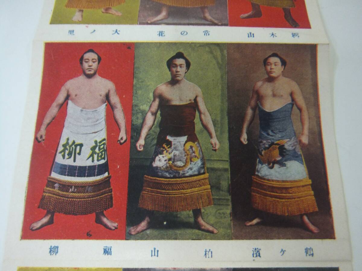 戦前 東京名力士カード 阿波屋製 横綱 栃木山 常ノ花  ２１名の画像8