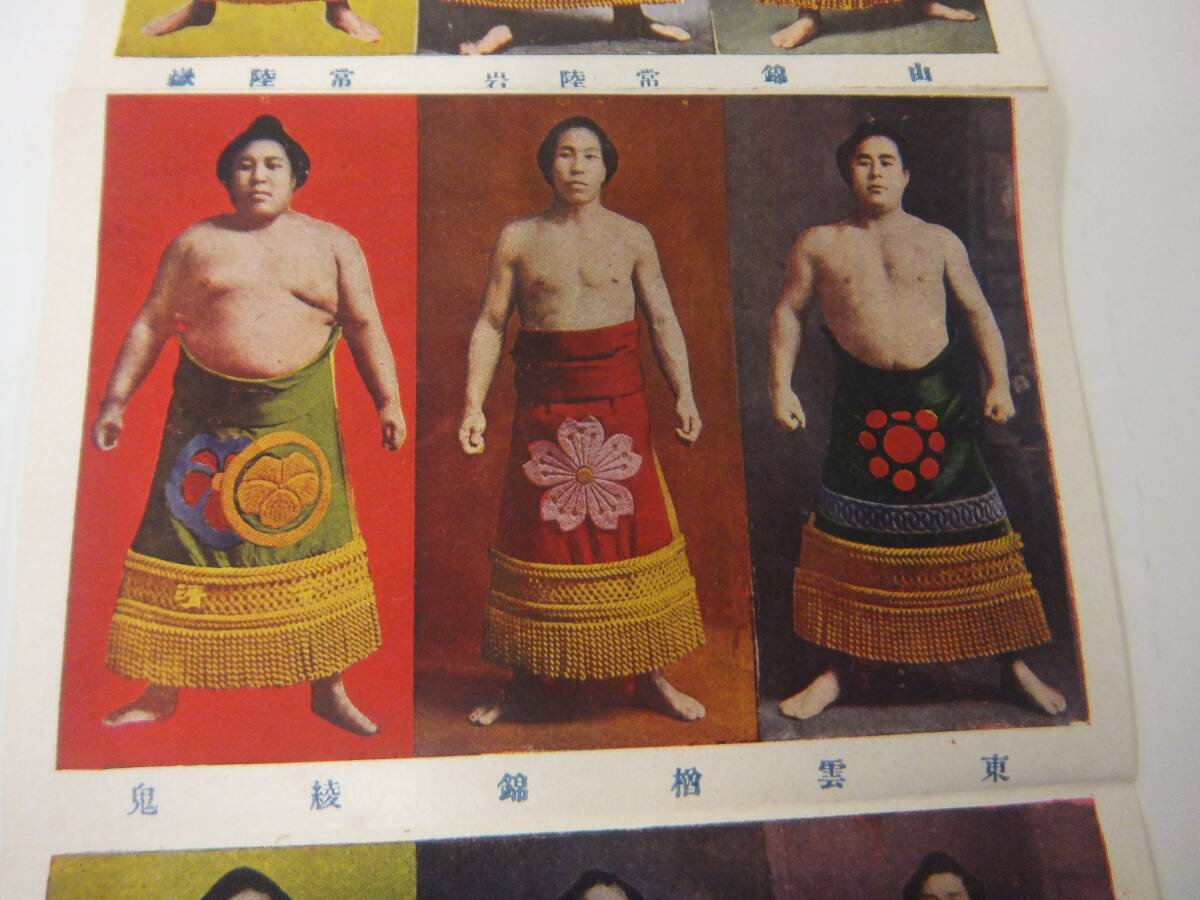 戦前 東京名力士カード 阿波屋製 横綱 栃木山 常ノ花  ２１名の画像10