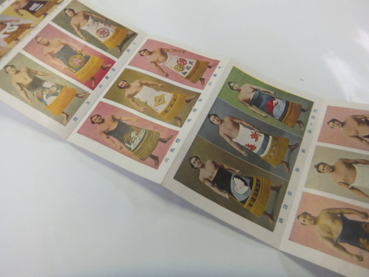 戦前 東京 大相撲 名力士カード 横綱 常の花 他 ２１名 東 阿波屋製の画像2