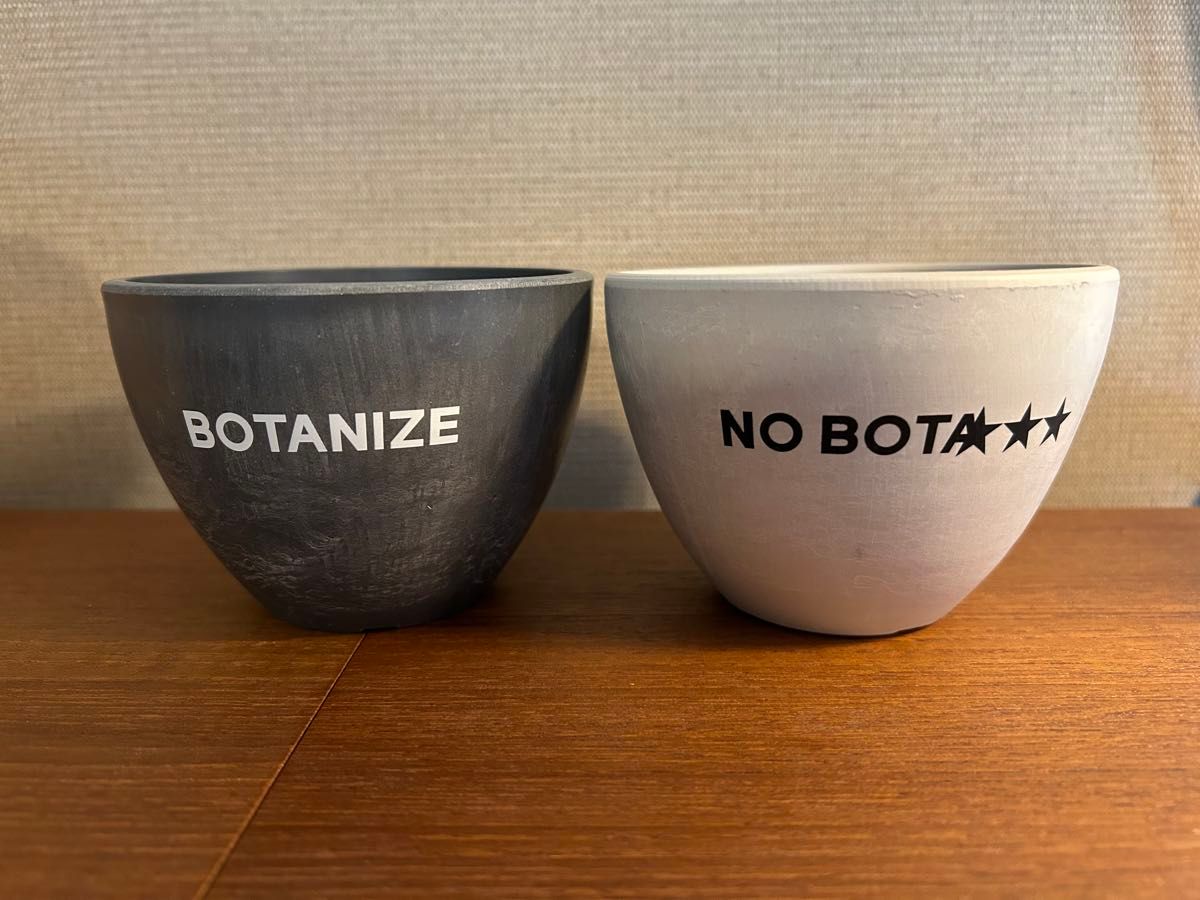 NO COFFEE × BOTANIZE × FIRSTORDER 1LDK ボタナイズ　プラ鉢　２個セット