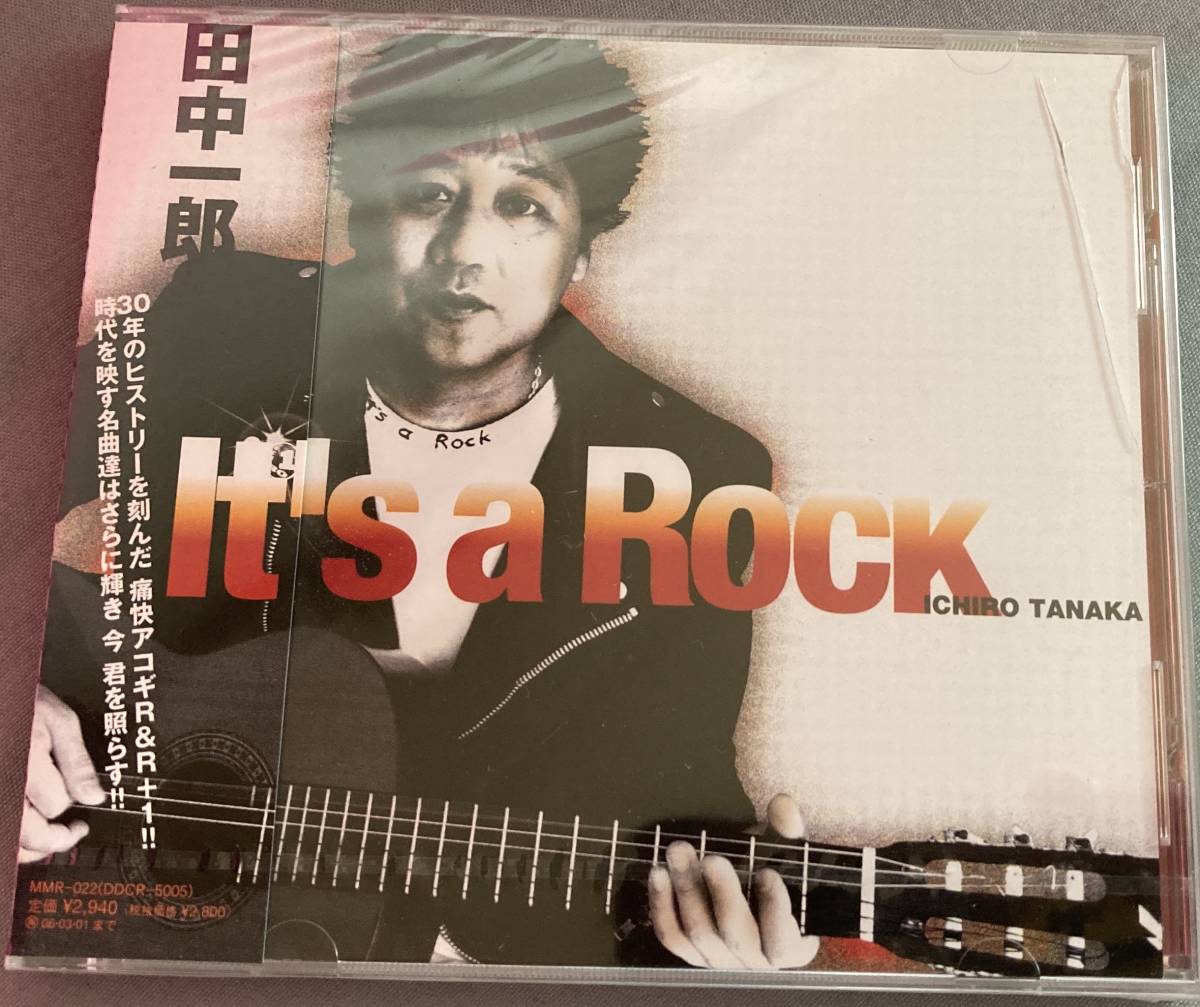 訳有り新品CD/田中一郎『It's a Rock』エムエムレコード/ARB/セルフカバー/Whisky&Vodka/トラブルド・キッズ/さらば相棒/Dance Music_画像1