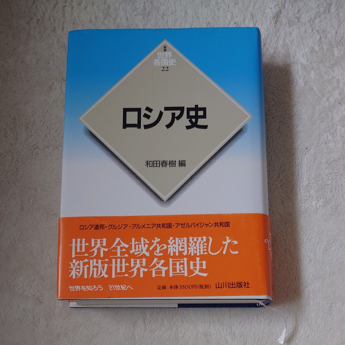 ロシア史 （新版世界各国史　２２） 和田春樹／編