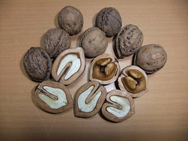 . peace 5 year * Niigata * fish marsh hing production * natural . attaching . walnut *10kg* general size * domestic production .. peach 