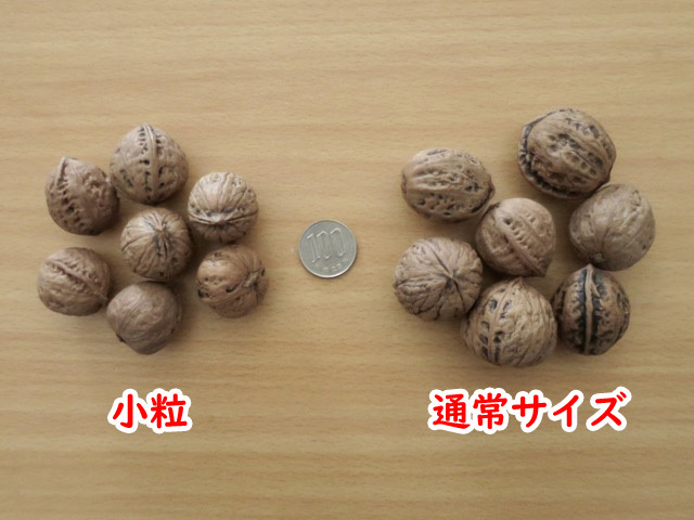 . peace 5 year * Niigata * fish marsh hing production * natural . attaching . walnut *10kg* general size * domestic production .. peach 