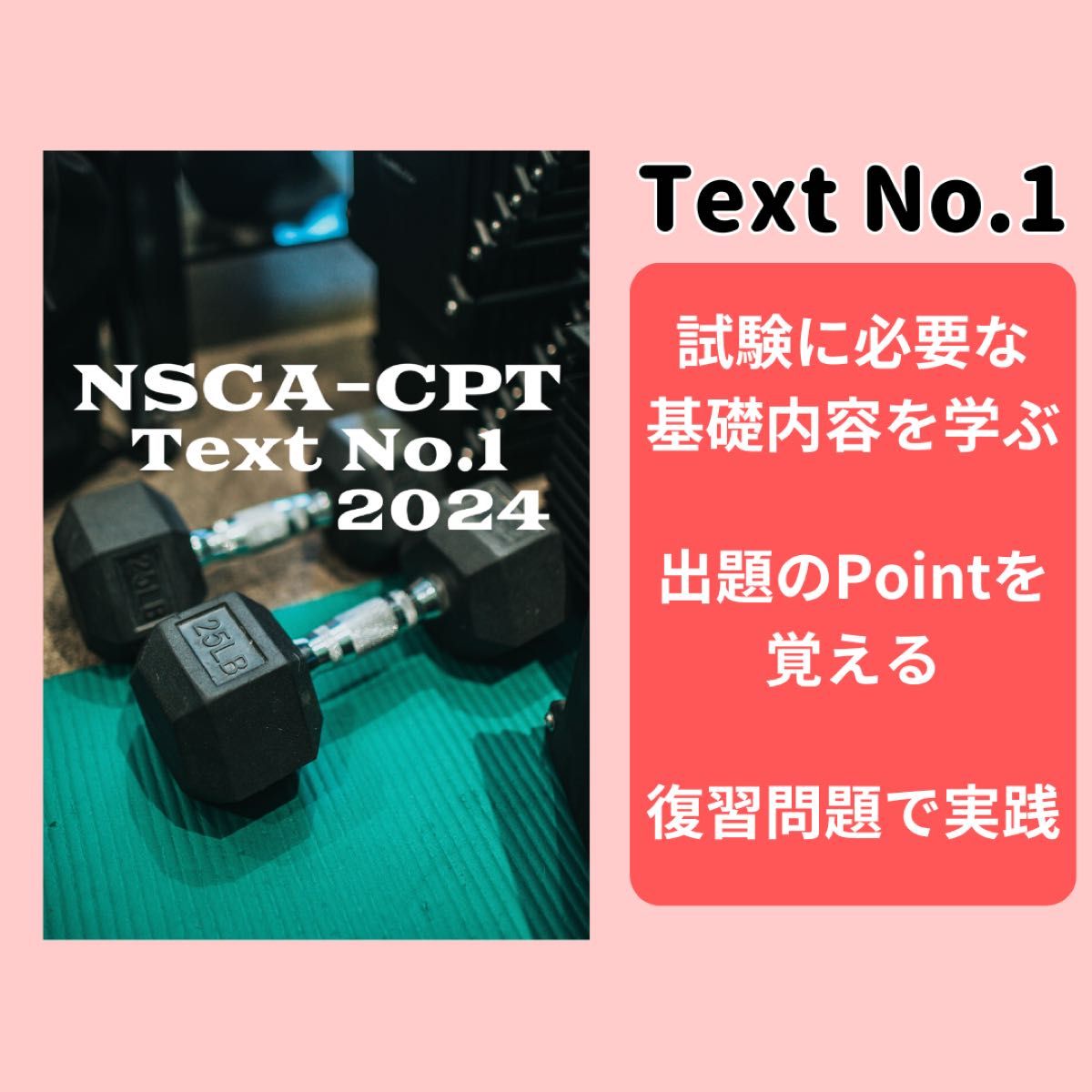 【2024年最新版】 過去問題有りNSCA-CPT対策問題集※即日配送