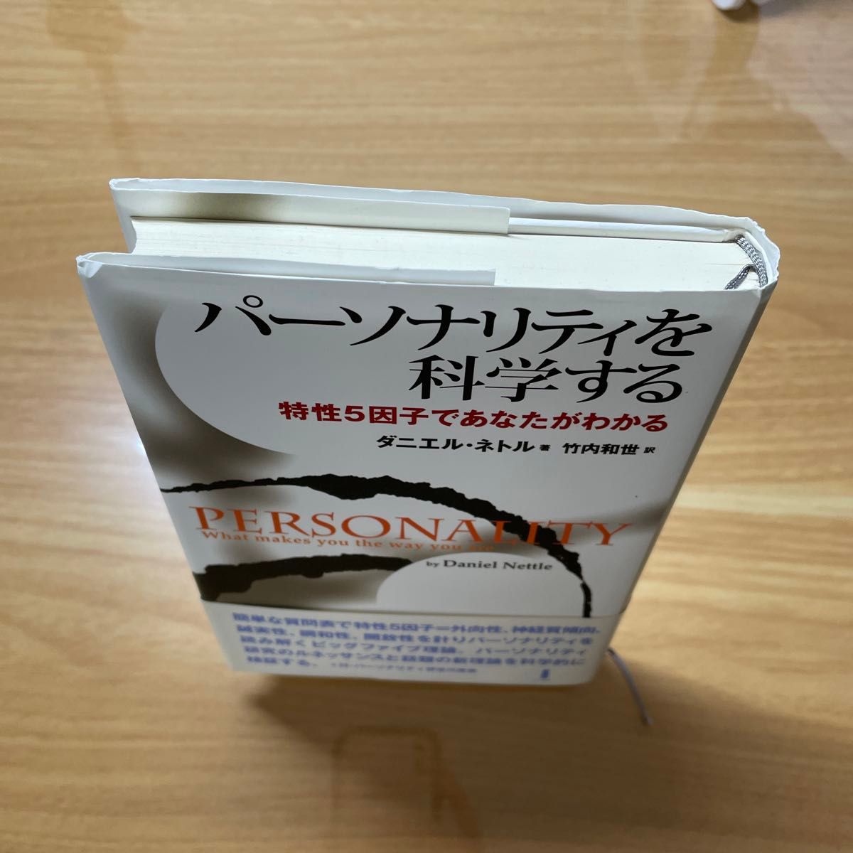 パーソナリティを科学する特性5因子であなたがわかる