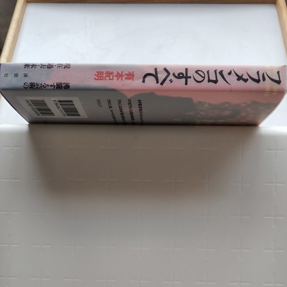 フラメンコのすべて　沸騰する芸術の現在・過去・未来 有本紀明／著