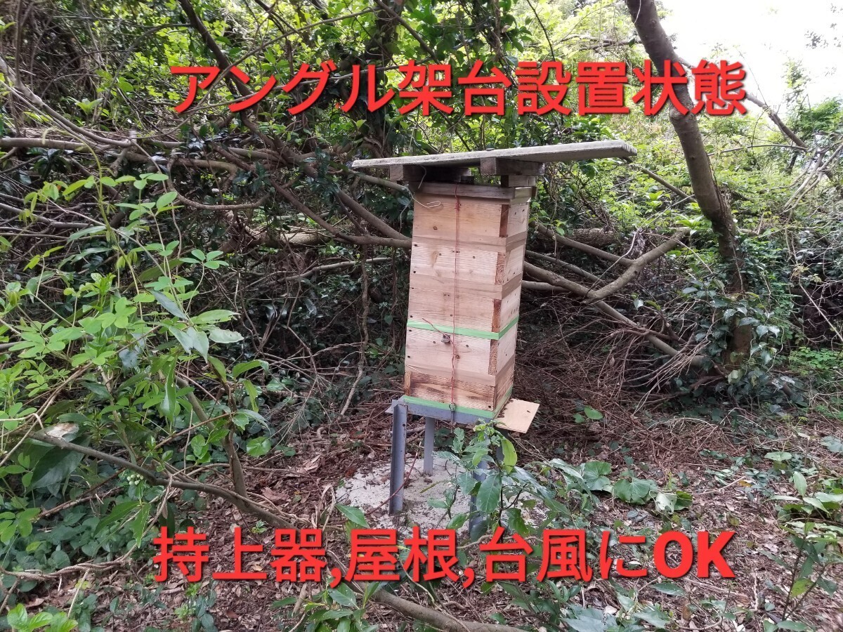 ■ニュースタイルの日本ミツバチ捕獲方法■当方の奥義書道理ににセットすれば捕獲間違い無し■当方例年50数群捕獲今季30群捕獲しています の画像7