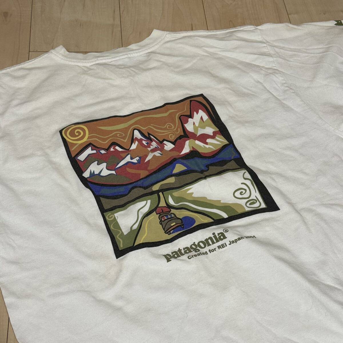 激レア 2000年代 ビンテージ Patagonia パタゴニア REI コラボ デュアルネーム Tシャツ コラボ物 アウトドア vintage