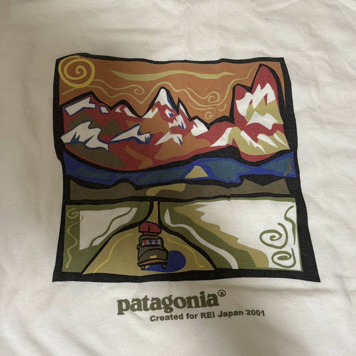 激レア 2000年代 ビンテージ Patagonia パタゴニア REI コラボ デュアルネーム Tシャツ コラボ物 アウトドア vintage