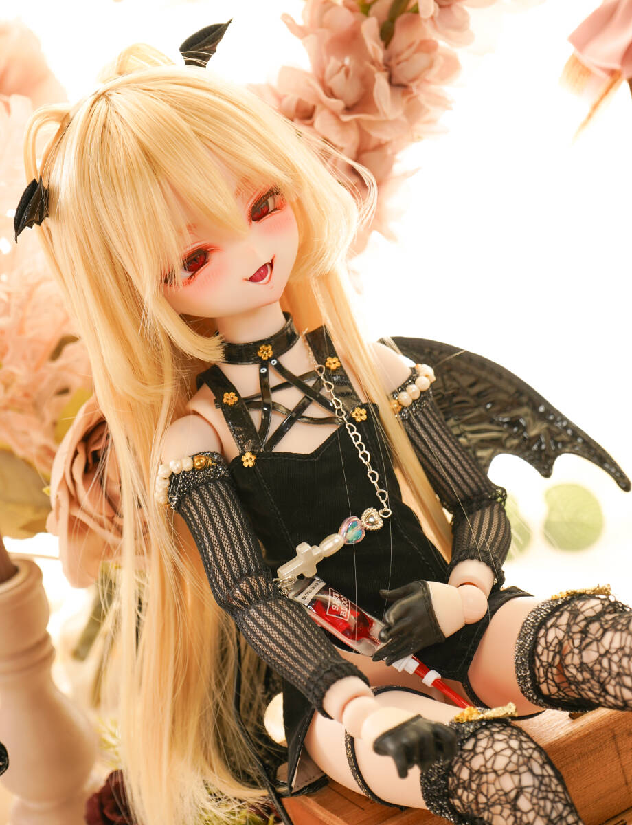 Yahoo!オークション - ラビオレ DDH-10セミホワイト カスタム Yahoo!オークション - ラビオレ DDH-10セミホワイト カスタム