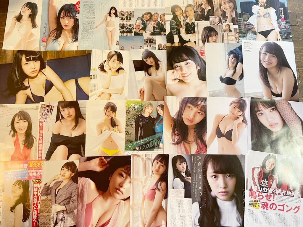 431 向井地美音　切り抜き　約76ページ　AKB48_画像1