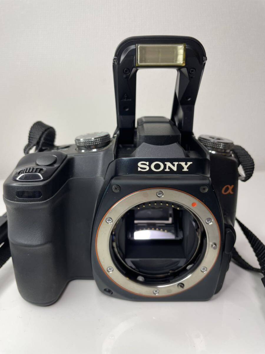 SONY DSLR-A100の画像2