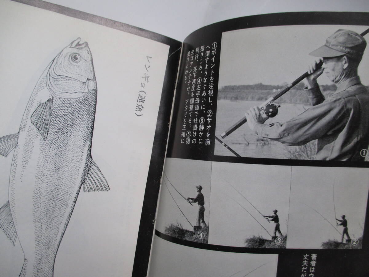 淡水大魚釣り 全 小西茂木 昭和４３年初版 東京書店の画像7