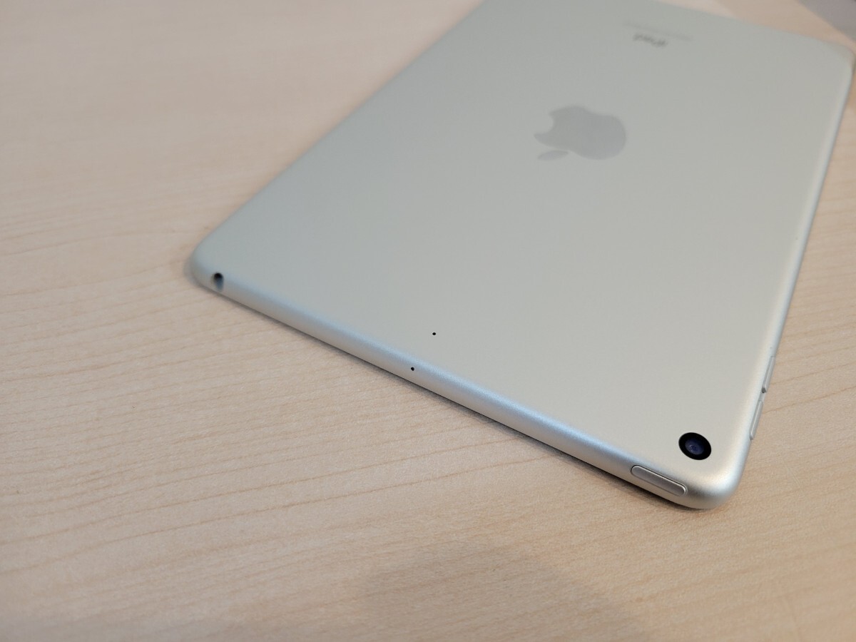 apple iPad mini 第5世代 Wi-Fi 256GB シルバー MUU52J/Aの画像8